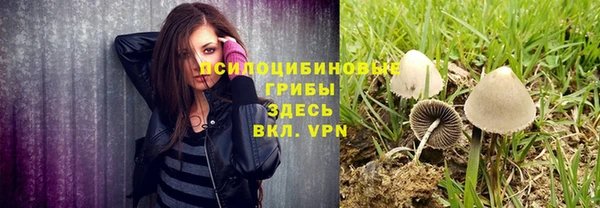 ECSTASY Горнозаводск