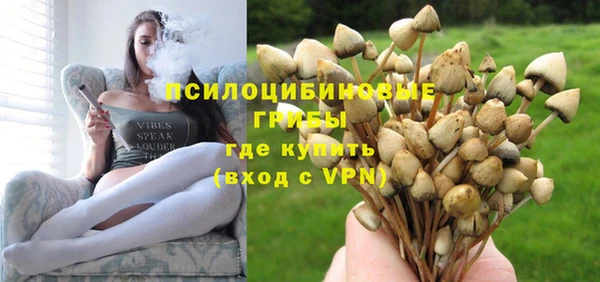 ECSTASY Горнозаводск